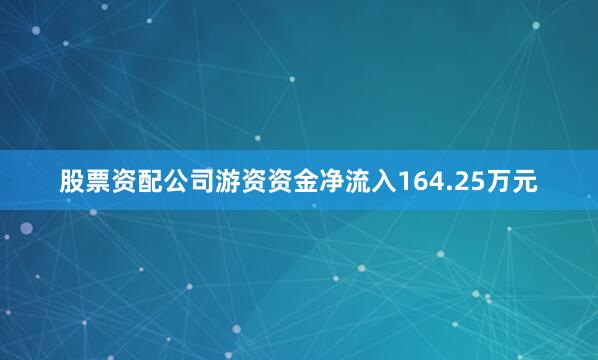 股票资配公司游资资金净流入164.25万元