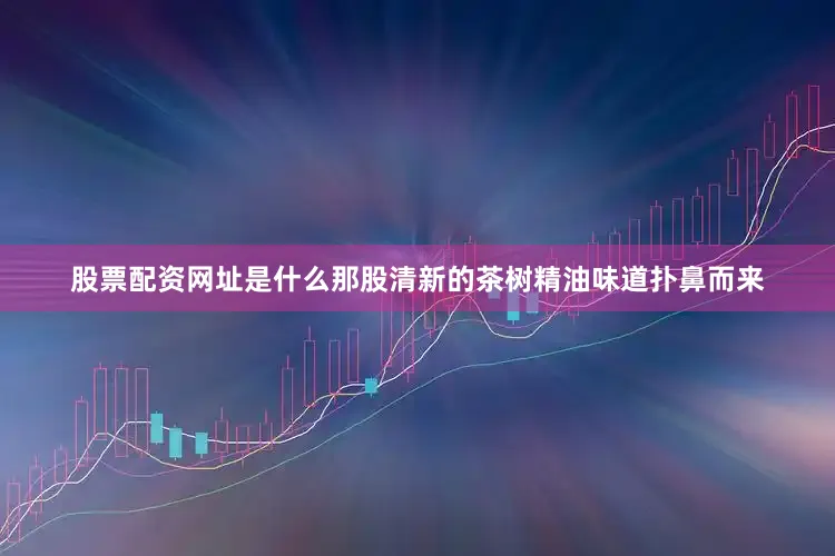 股票配资网址是什么那股清新的茶树精油味道扑鼻而来
